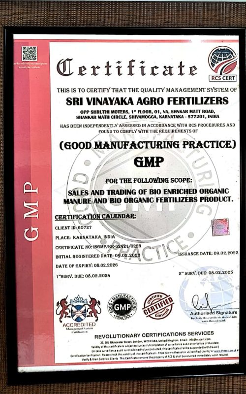 WhatsApp Image 2025-09-02 at 11.22.47 AM (1)